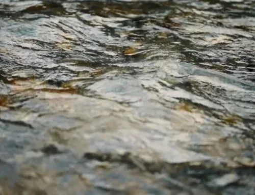 Western States is now a Tier 1 Contractor for Mile High Flood District